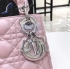 Dior Bag 029